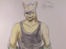 【最近的新作】